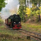 Herbst im Harz