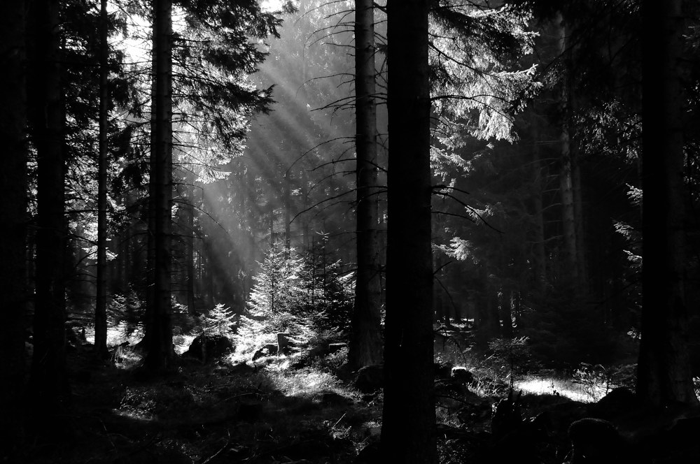 Herbst im Harz