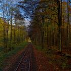 Herbst im Harz