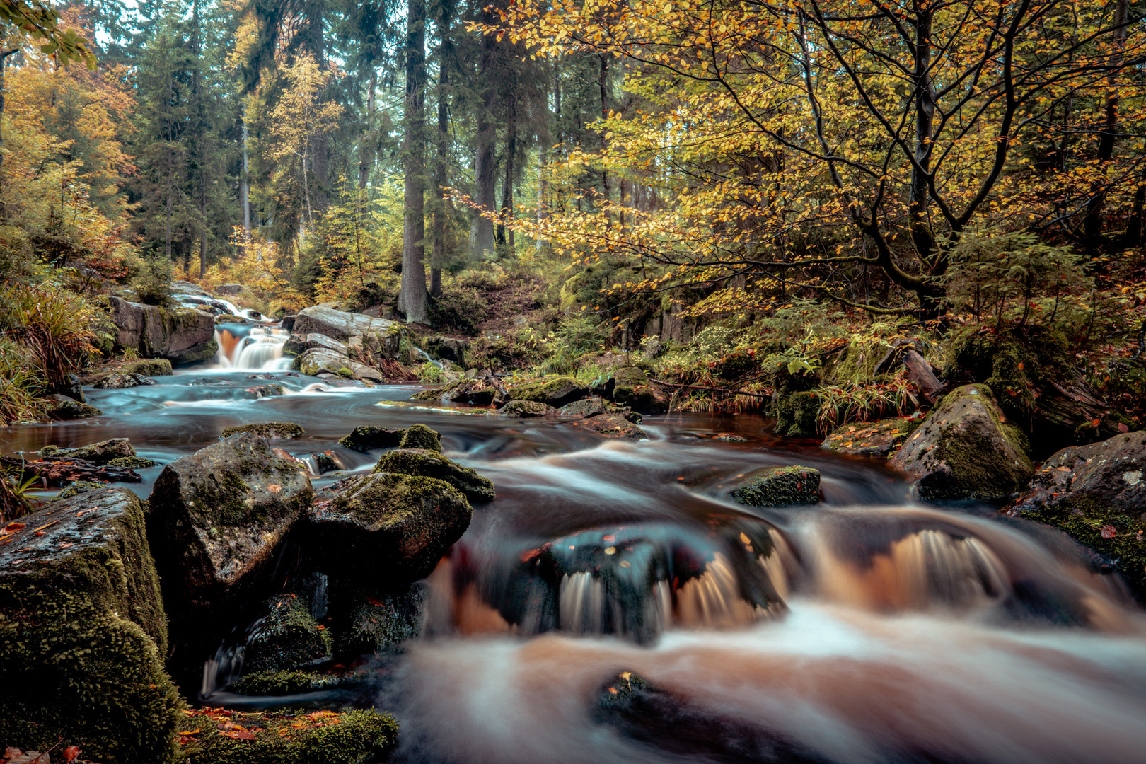 Herbst im Harz