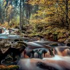 Herbst im Harz