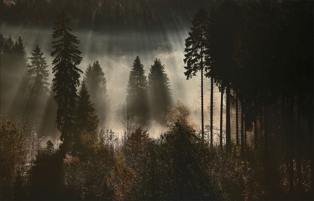* Herbst im Harz * **