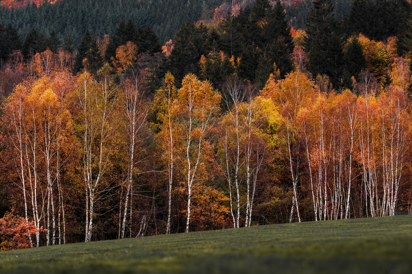 Herbst im Harz