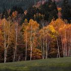 Herbst im Harz