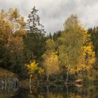 Herbst im Harz