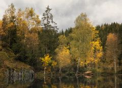 Herbst im Harz