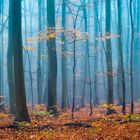 Herbst im Harz