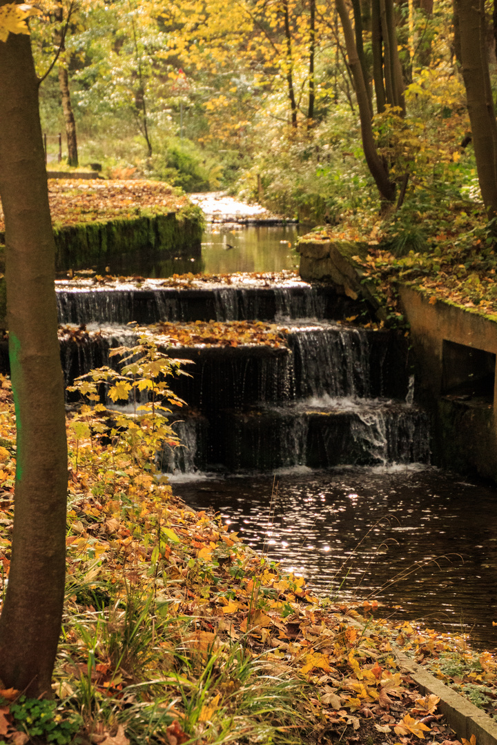 Herbst im Harz