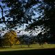 Herbst im Harz