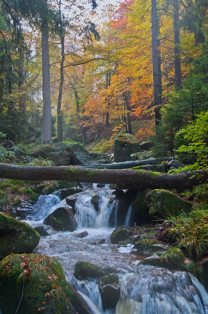 Herbst im Harz