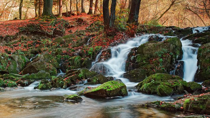 Herbst im Harz - Selkefall