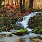 Herbst im Harz - Selkefall