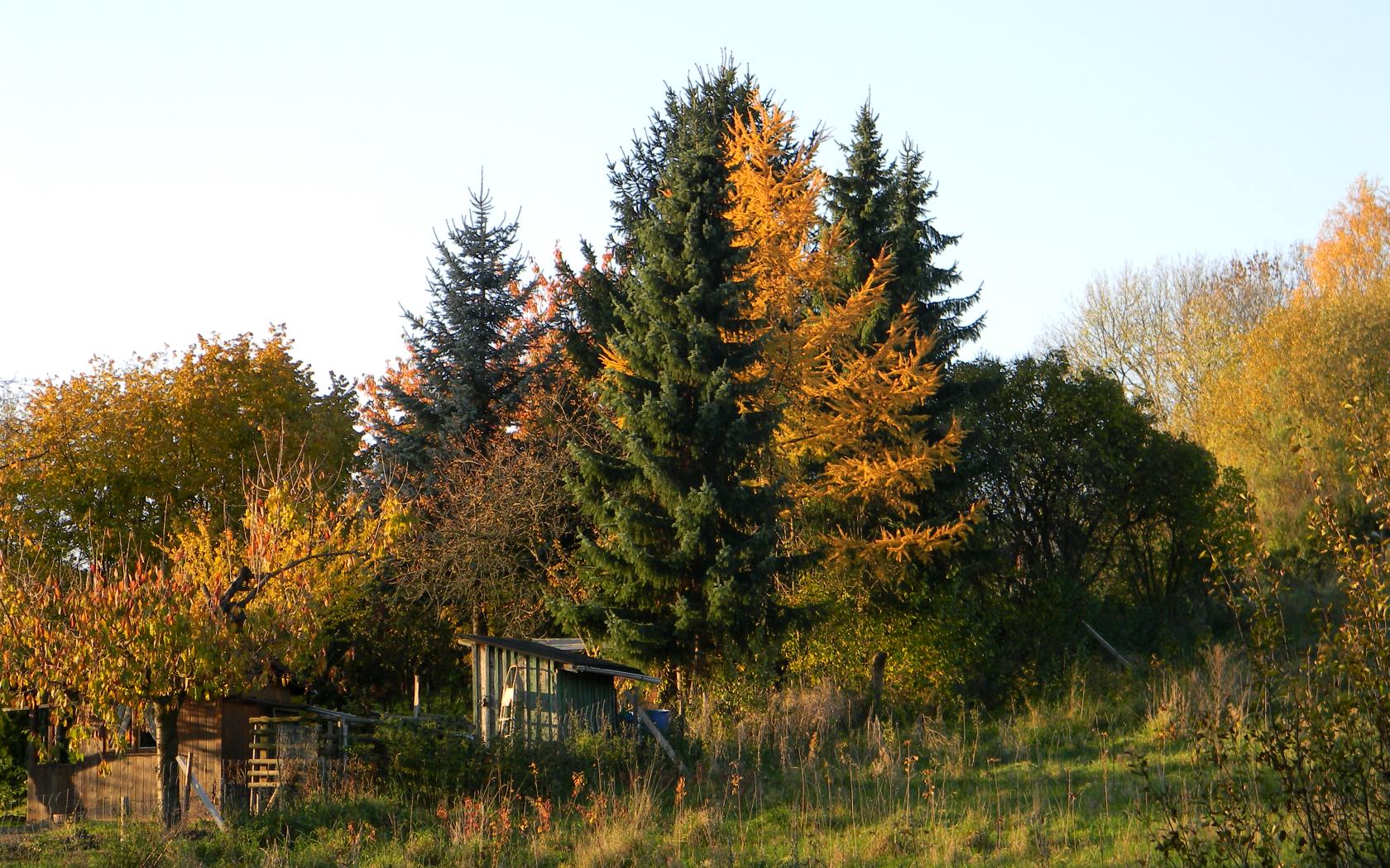 Herbst im Harzvorland