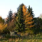 Herbst im Harzvorland
