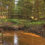 Herbst im Hauptsmoorwald