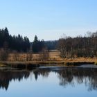 Herbst im Hautes Fagnes