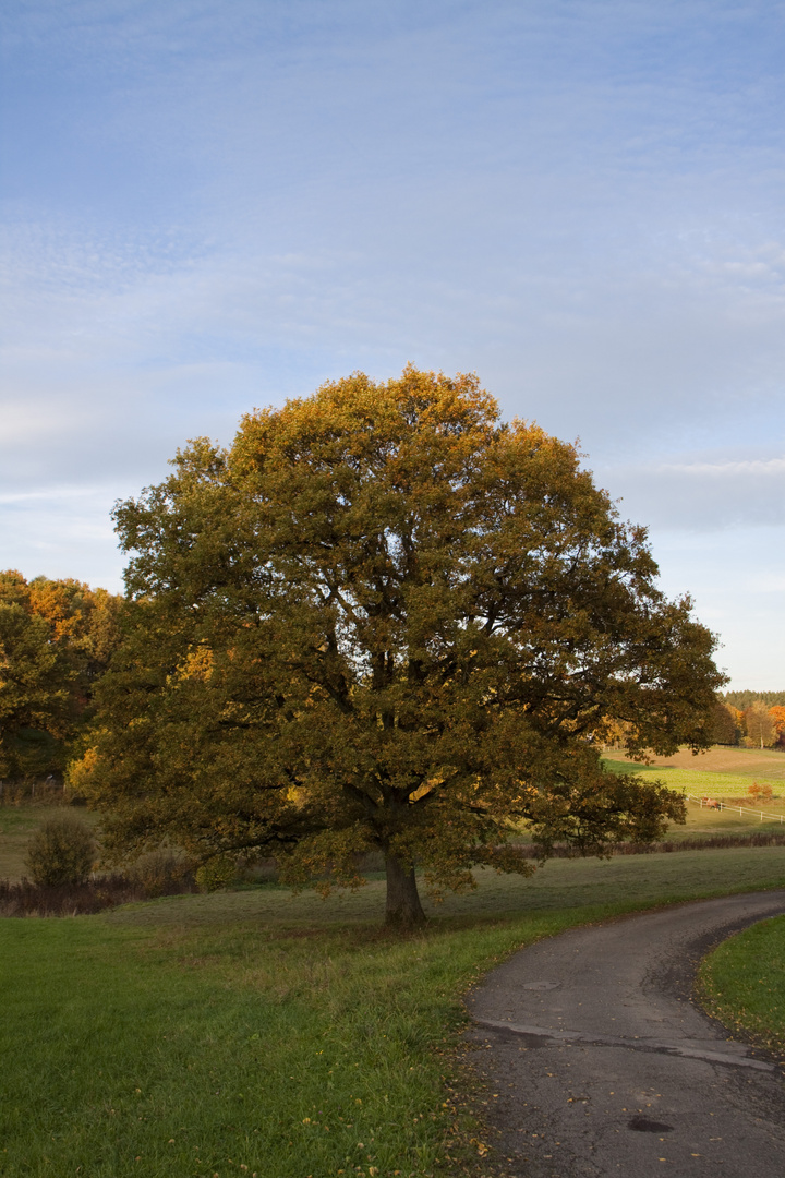 Herbst im Heestal