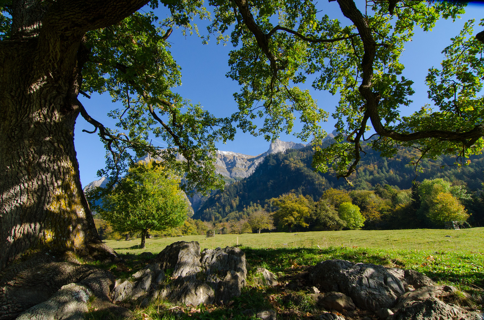 Herbst im Heidiland