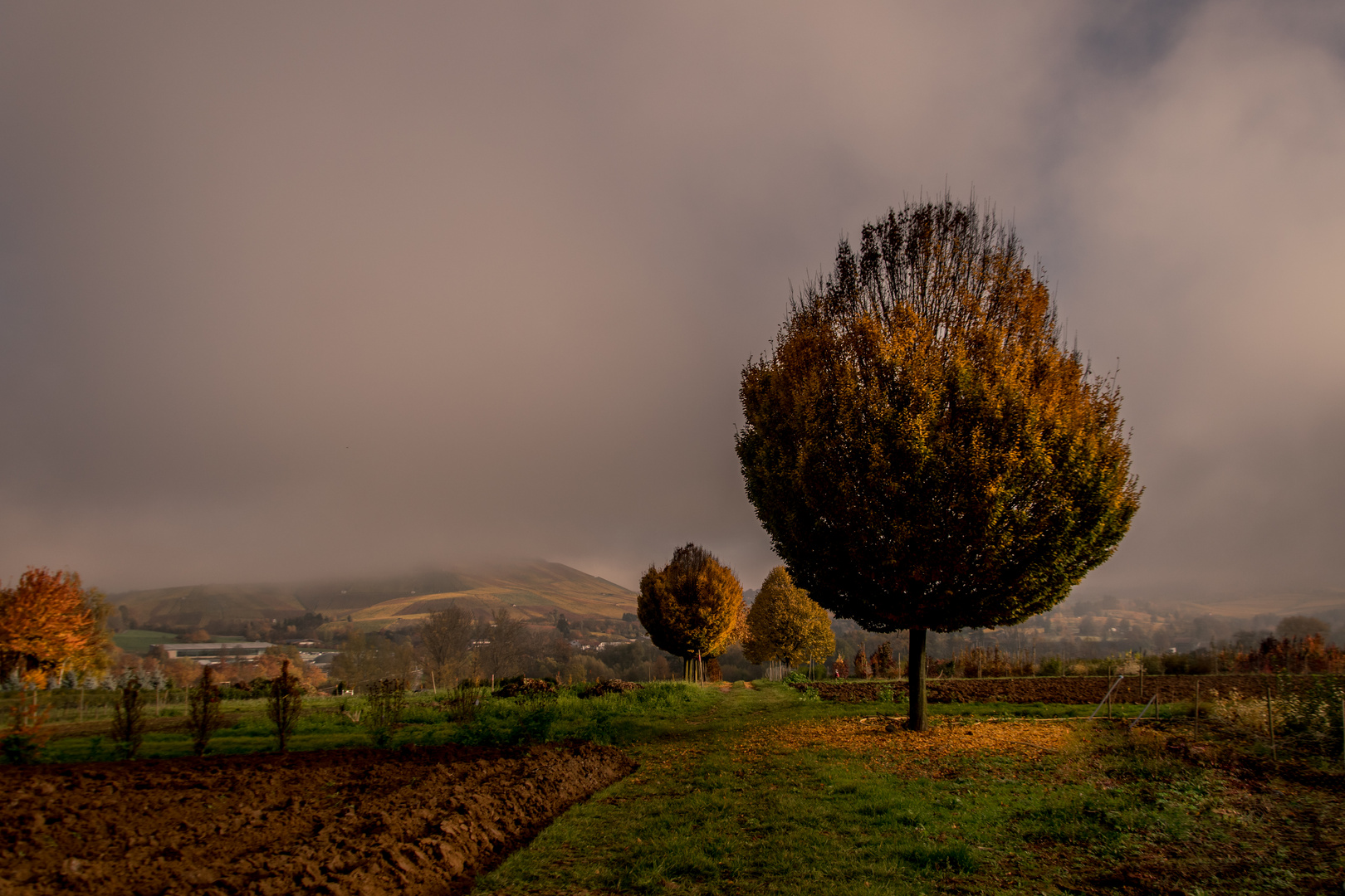 Herbst im Heilbronner Land