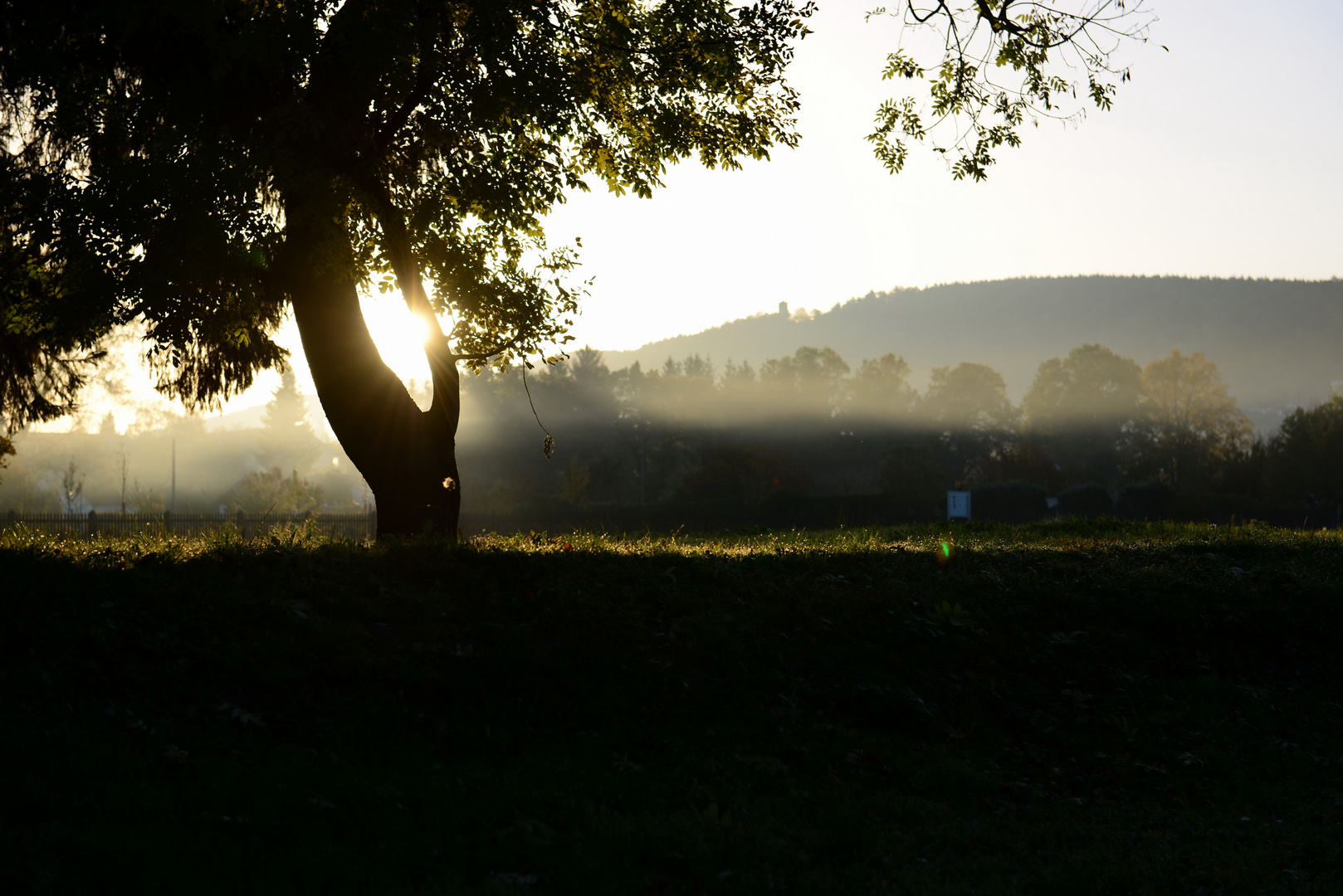 Herbst im Heinepark