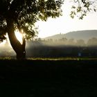 Herbst im Heinepark