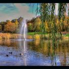 Herbst im Heinz Lang Park