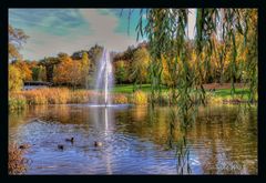 Herbst im Heinz Lang Park