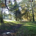 Herbst im Heisiwald