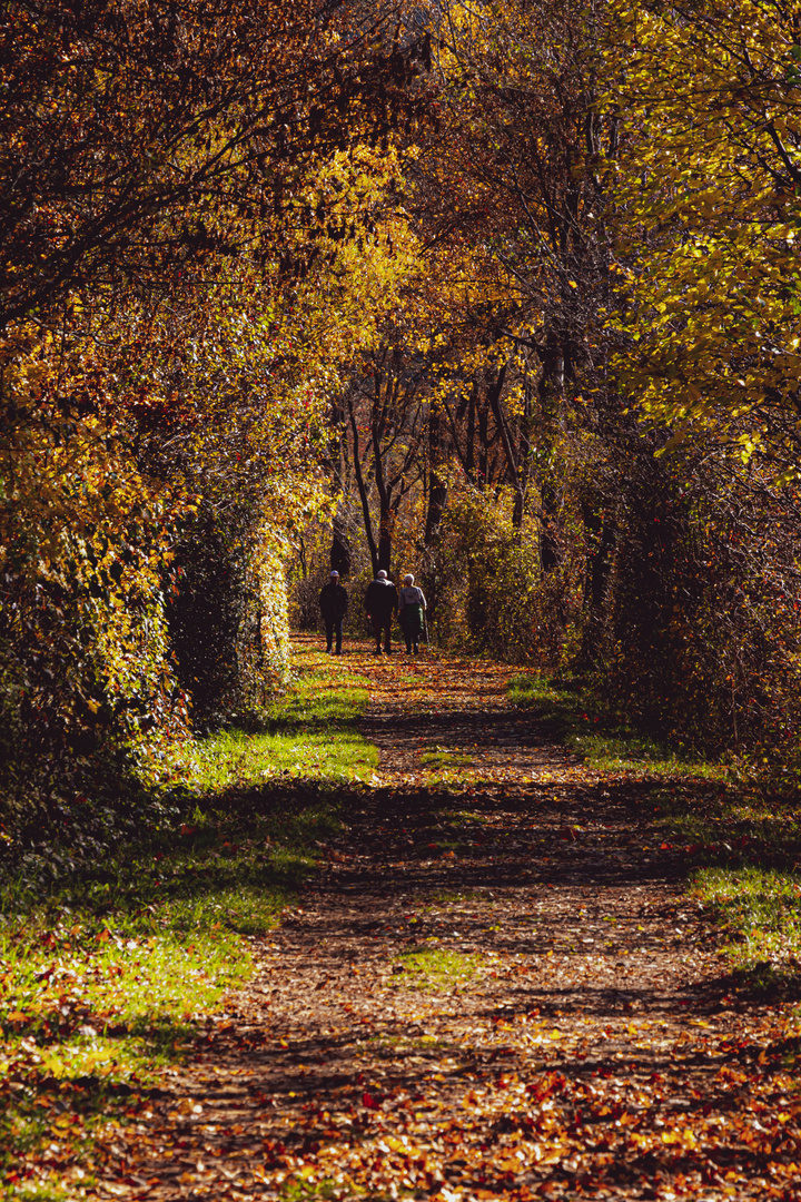 Herbst im Herbst des Lebens