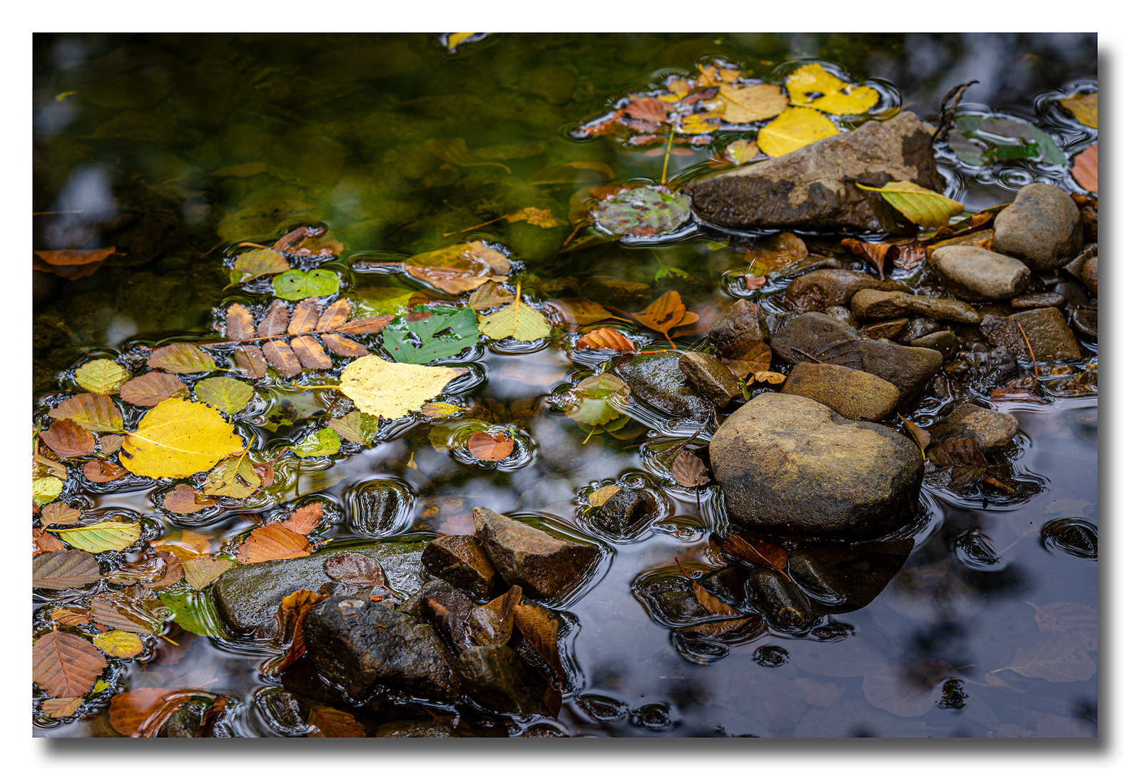 Herbst im Hevetal