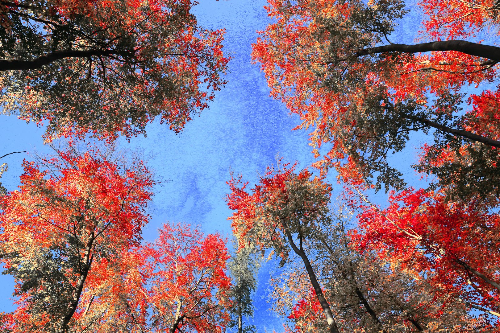 Herbst im Himmel