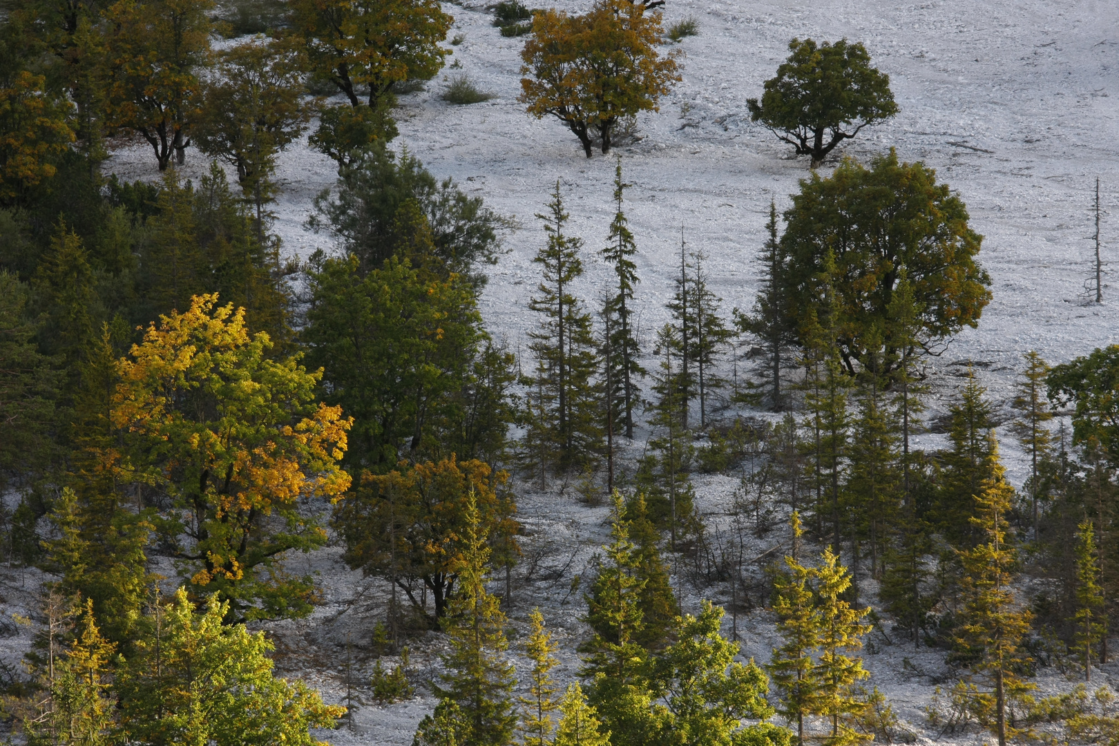 Herbst im Hinterautal, Karwendel