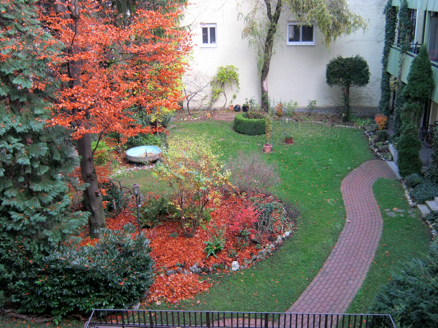 Herbst im Hinterhofgarten