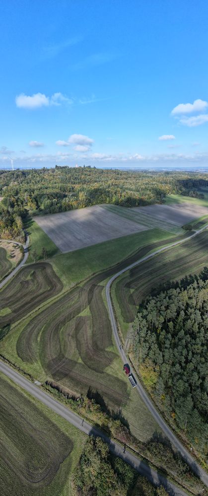 Herbst im Hochformat