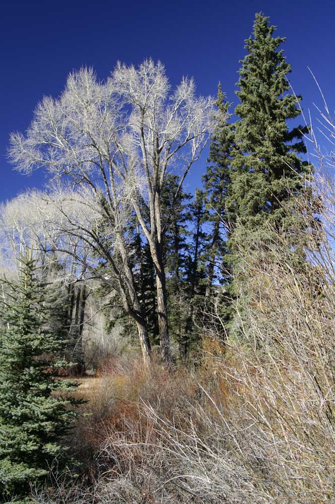 Herbst im Hochgebirge