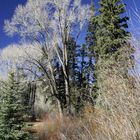 Herbst im Hochgebirge