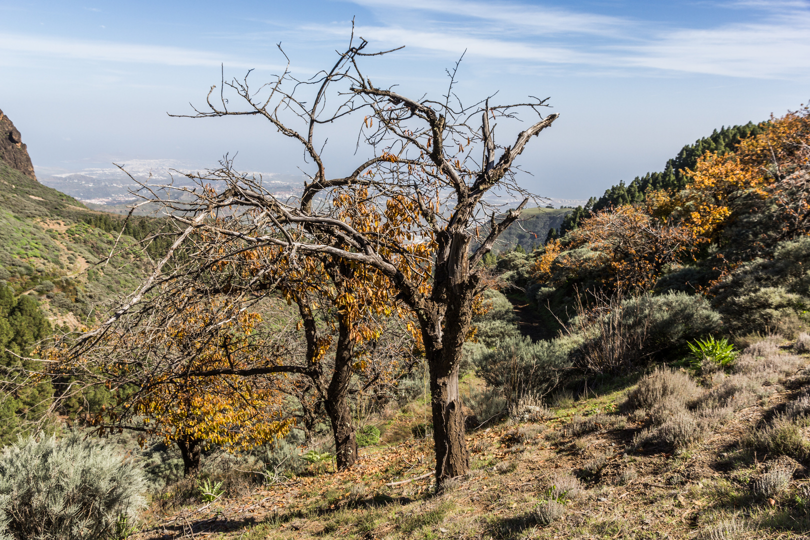 Herbst im Hochland