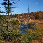 Herbst im Hochmoor