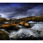 Herbst im Hochmoor 1