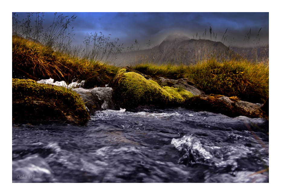 Herbst im Hochmoor 3