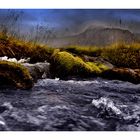 Herbst im Hochmoor 3