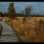 HERBST im Hochmoor