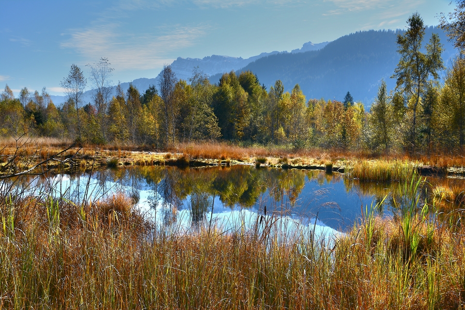 Herbst im Hochmoor