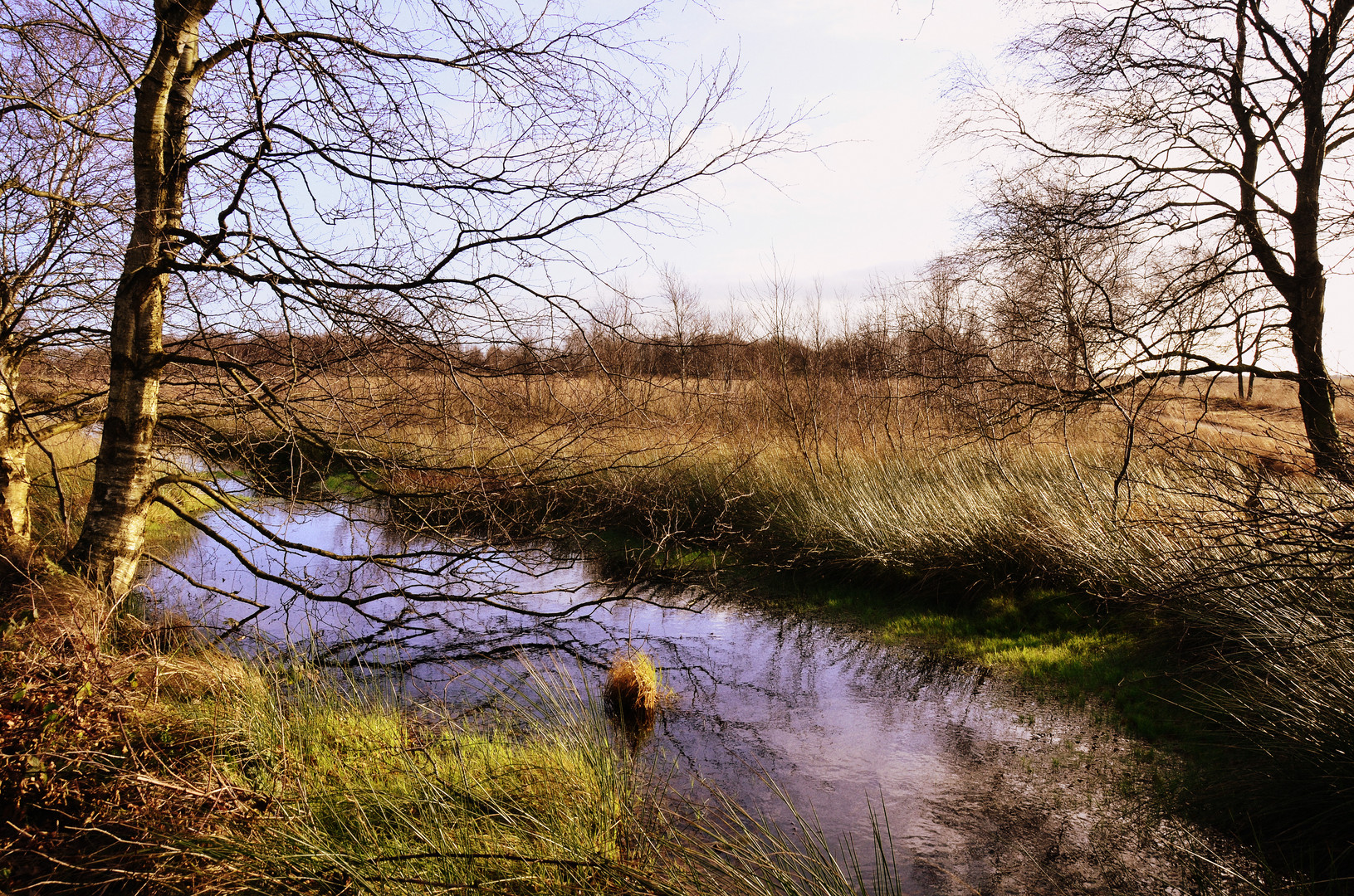 Herbst im Hochmoor.....