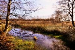 Herbst im Hochmoor.....