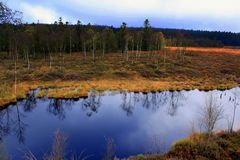 -Herbst im Hochmoor Mecklenbruch-