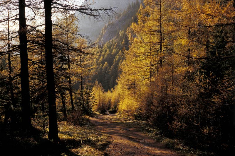 Herbst im Hochschwab