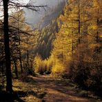 Herbst im Hochschwab