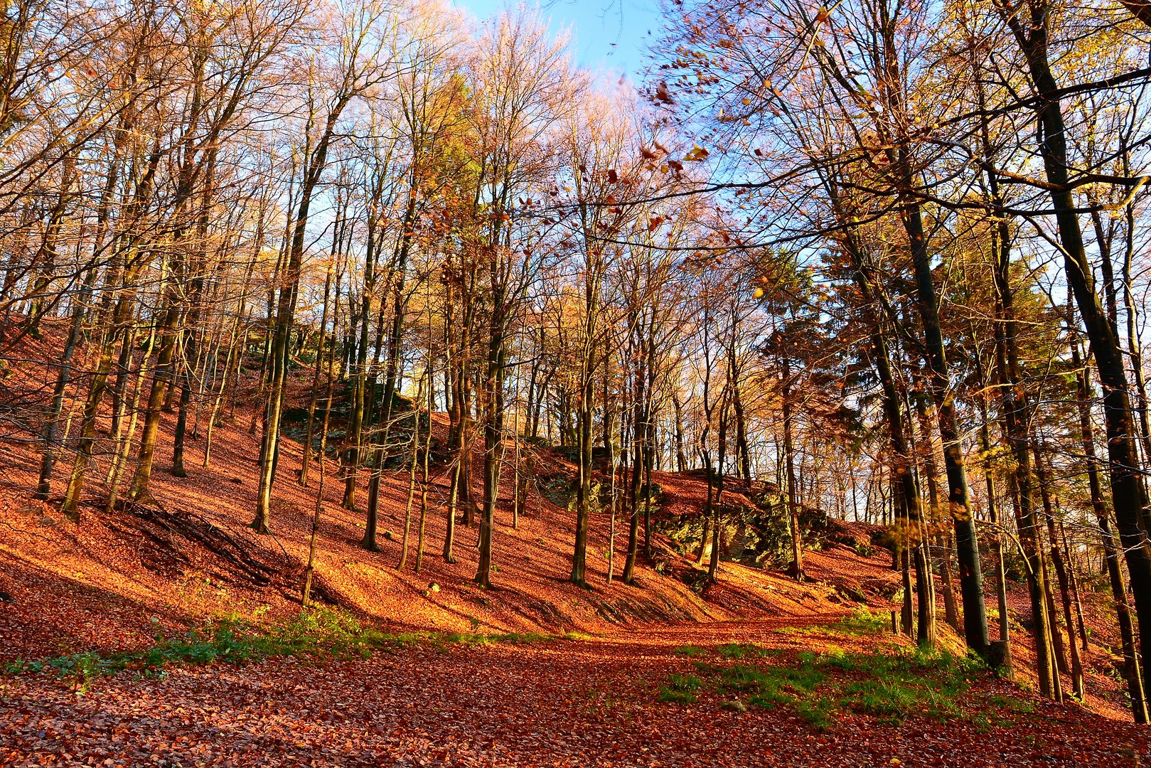 Herbst im Hochtaunus