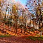 Herbst im Hochtaunus